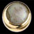 Horn Dome Knob
