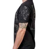 Click for Larger Images