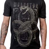 Click for Larger Image