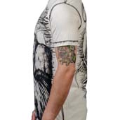 Click for Larger Images